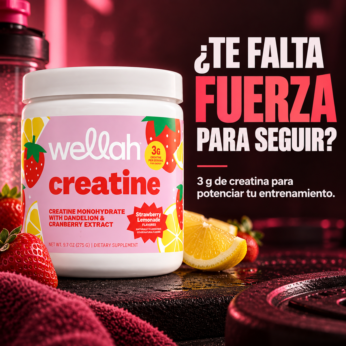 Creatina Monohidratada Micronizada